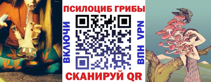 Псилоцибиновые грибы прущие грибы  купить наркотики сайты  Чапаевск 